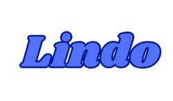 Lindo Logo